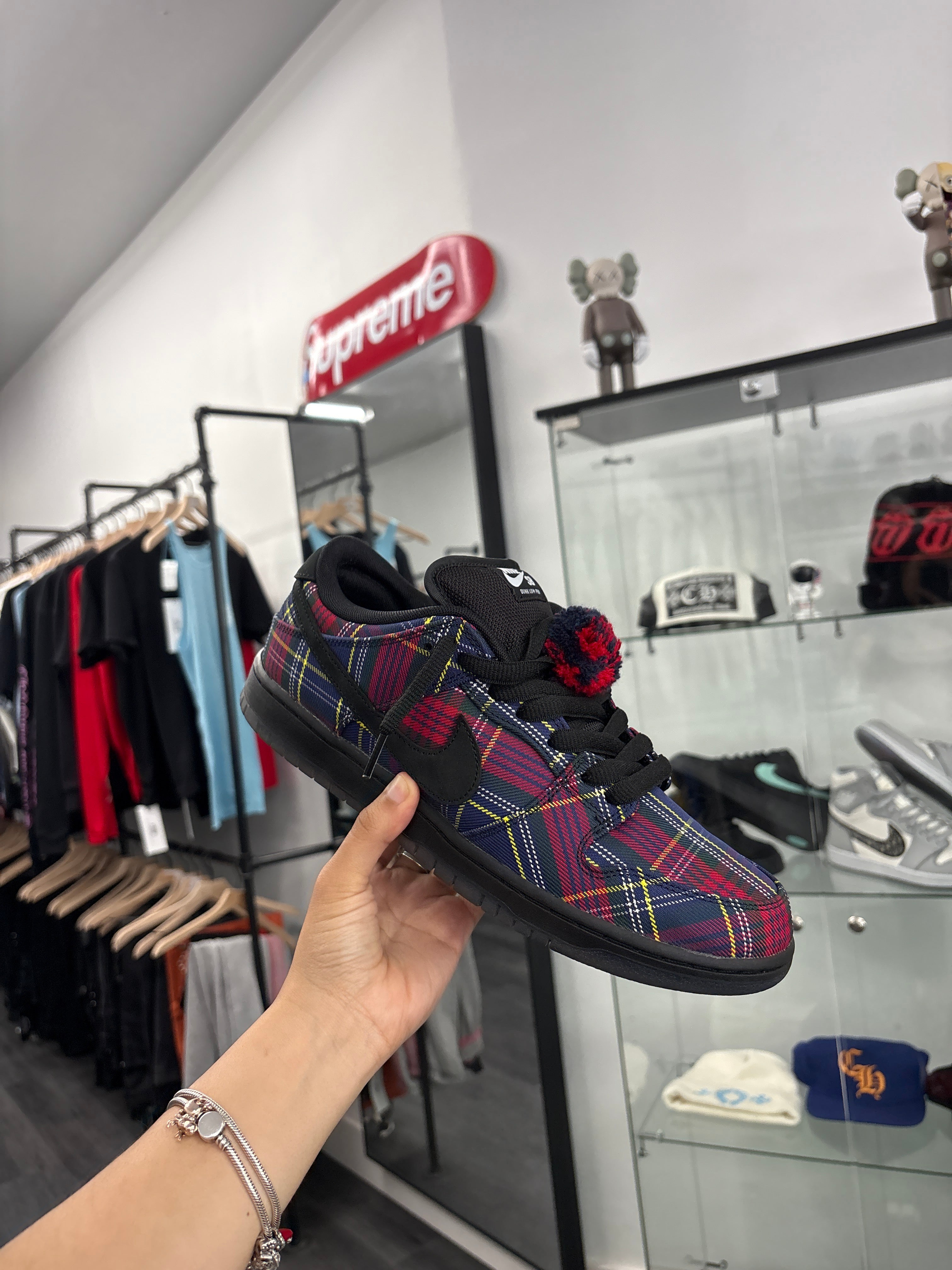 Nike SB Nardwaur Dunks Size 10 WB U